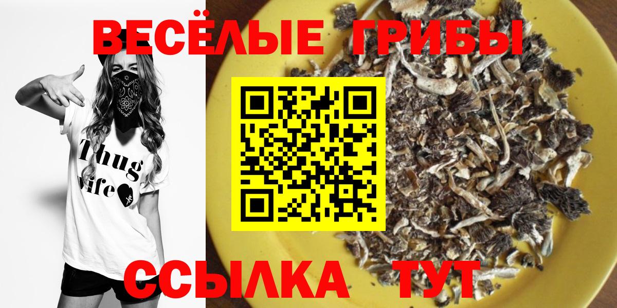 Галлюциногенные грибы ЛСД  Вход с VPN  Галлюциногенные грибы Cubensis  Аша 
