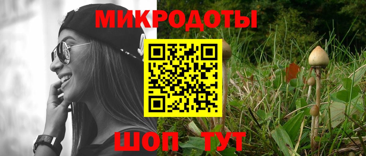 Псилоцибиновые грибы Psilocybine cubensis Аша